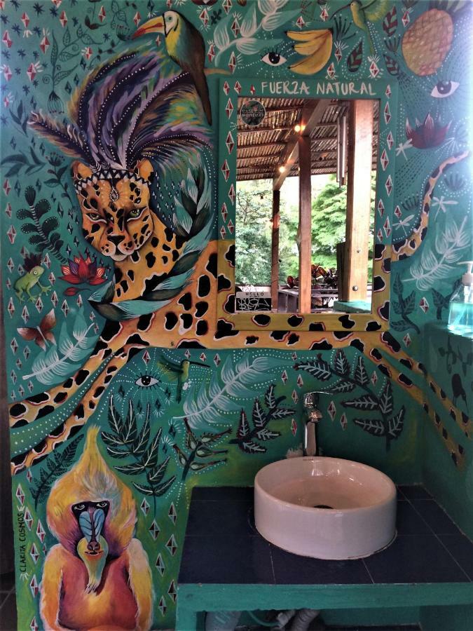 Casa Kiwi Hostel Μεντεγίν Εξωτερικό φωτογραφία